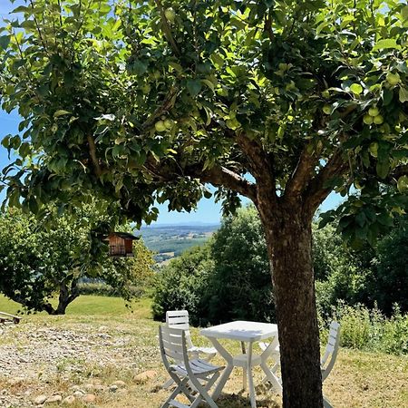 Gite Chez Polo Villa Chateauneuf-de-Galaure Kültér fotó