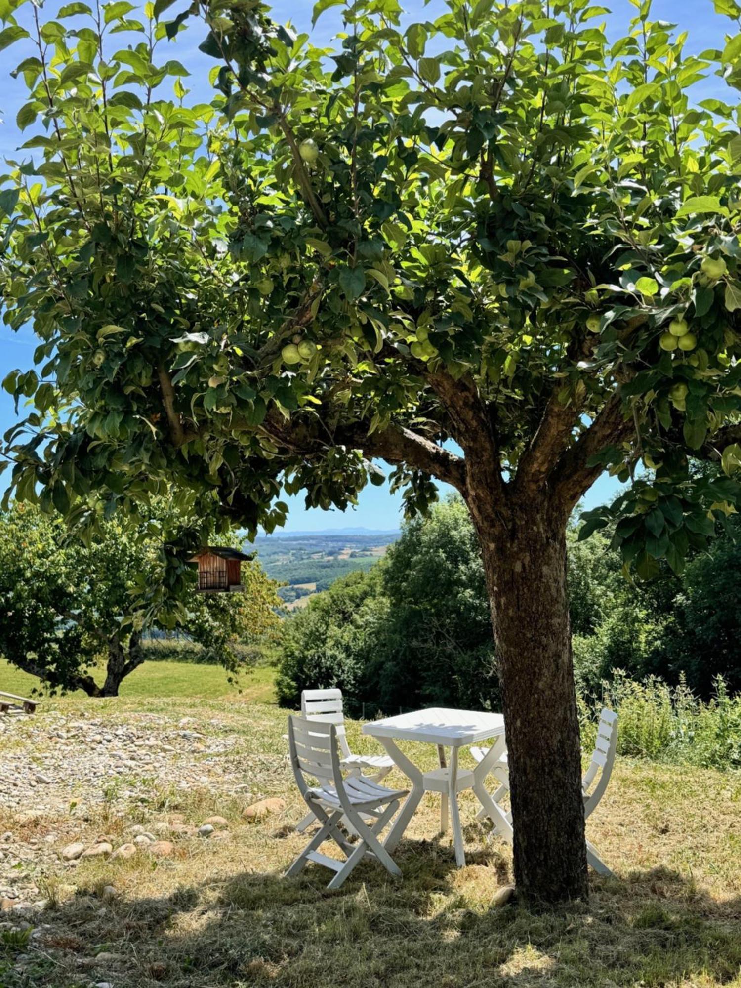 Gite Chez Polo Villa Chateauneuf-de-Galaure Kültér fotó